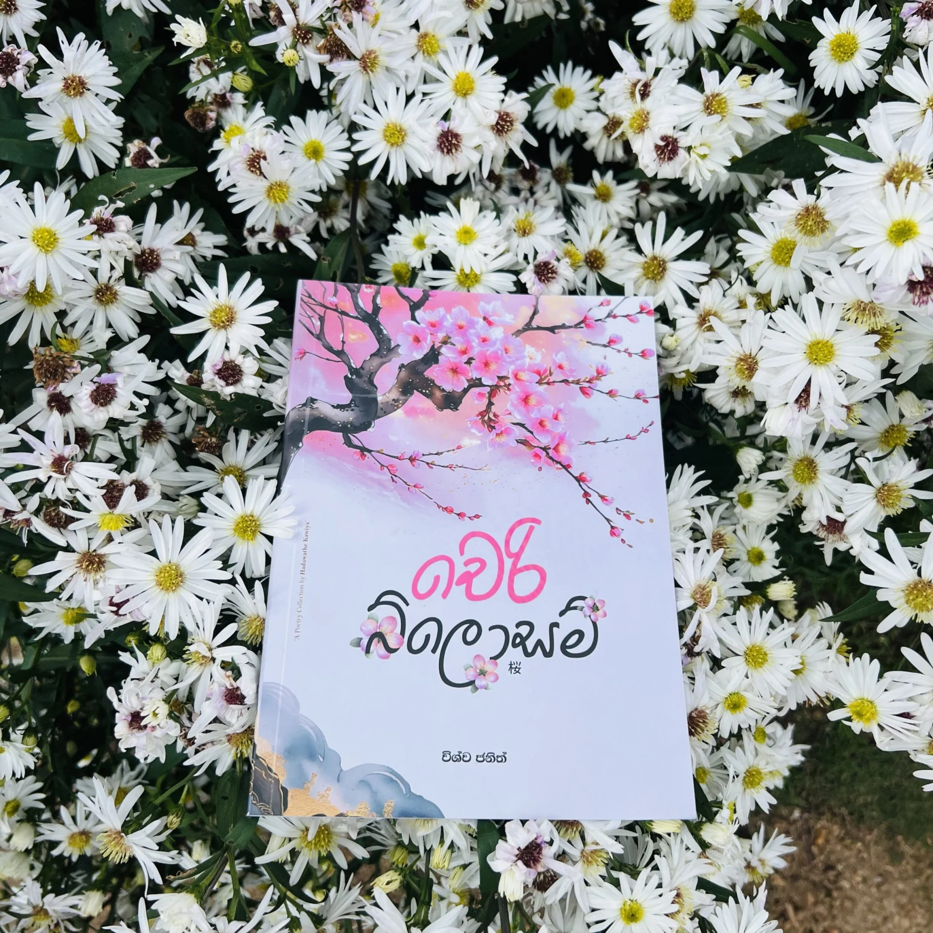img_1546 චෙරි බ්ලොසම් | Cherry Blossom - Image 1
