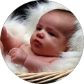 Sameena Dole